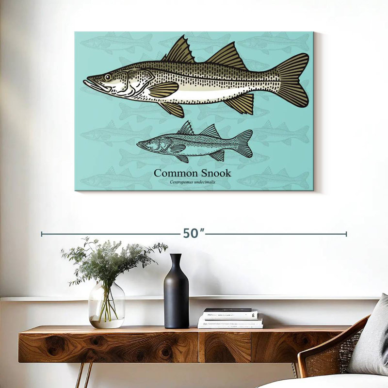 Brampt Common Snook, 26" H x 39" W