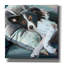 «Couch Collie» par Art Licensing Studio, art mural sur toile