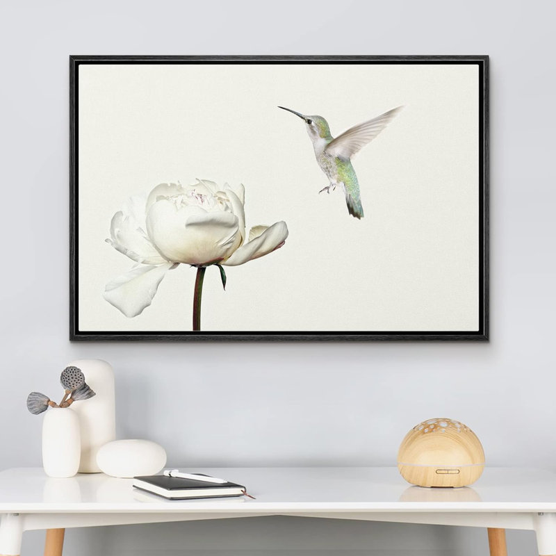 Animaux, colibri vole sur une fleur d'œillet blanc sur toile, Cadre noir, H 16 po x l 24 po x P 1,5 po