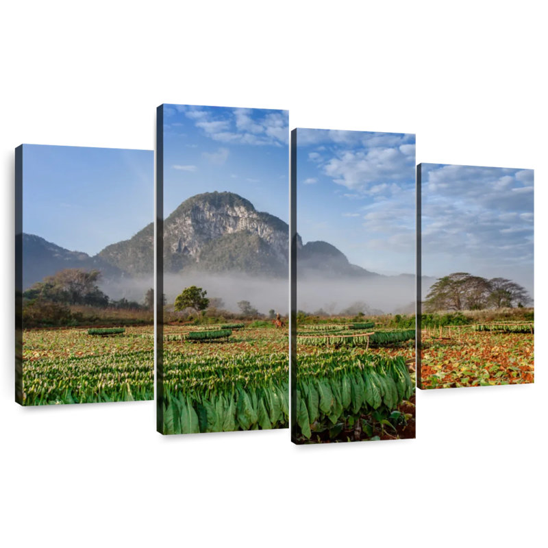 Paysage de ferme de tabac Alvord, H 22 po x l 36 po