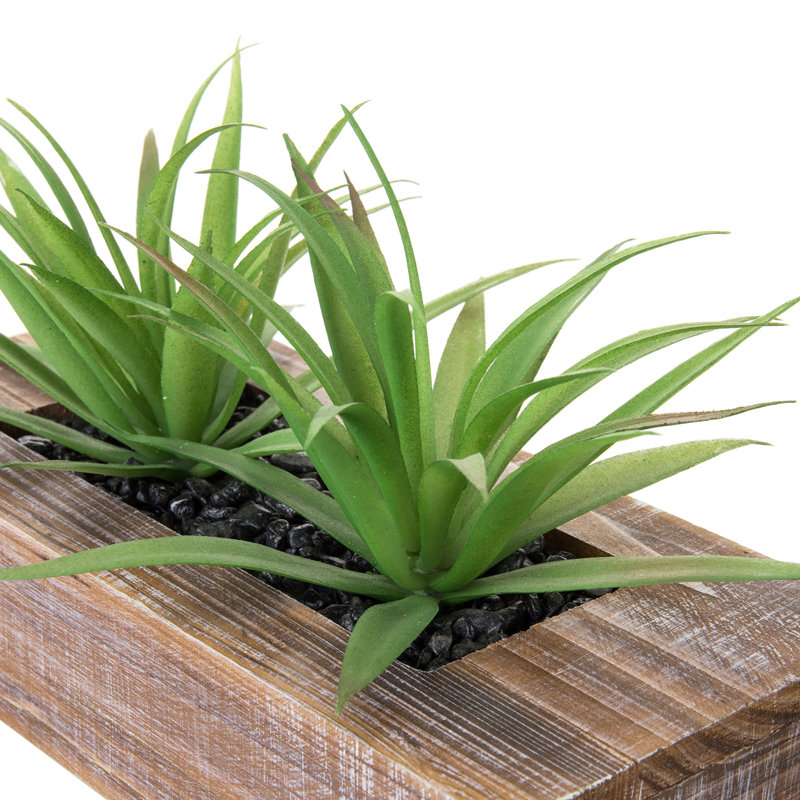 14cm Faux Onion Grass Grass in Solid Wood Planter, Brown