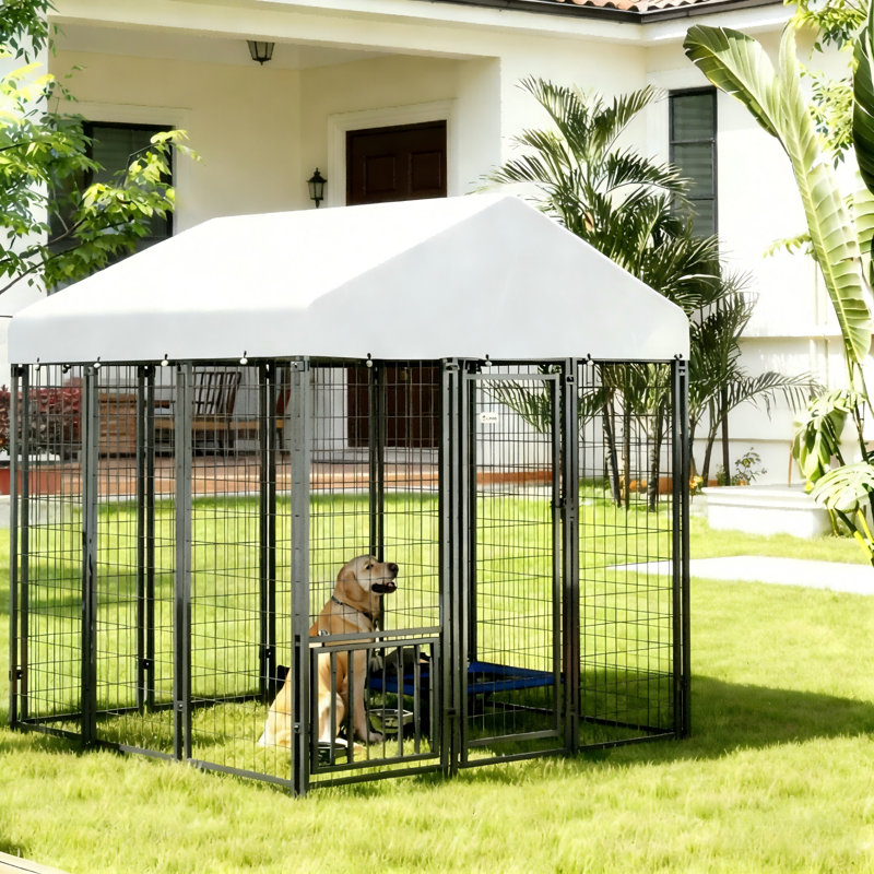 Enclos pour chien à cour ajustable avec couvercle