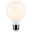 6 Watt White LED Bulb