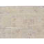 Sona Silk Oriental Area Rug in Ivory