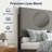 Upholstered Platform Bed With Modern Panel Headboard-986329939-986329937