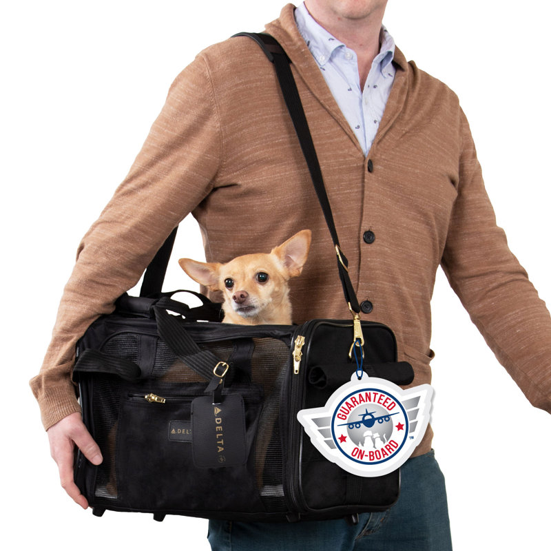 Collapsible Pet Carrier with 2 Doors