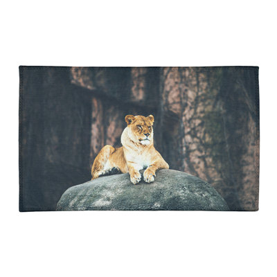 Tapis de zone beige lioness chenille