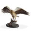 Majestic Eagle on Branch