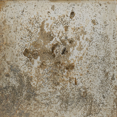 Joyce Creiger Milky Way I - reproduction de cadre photo sur bois