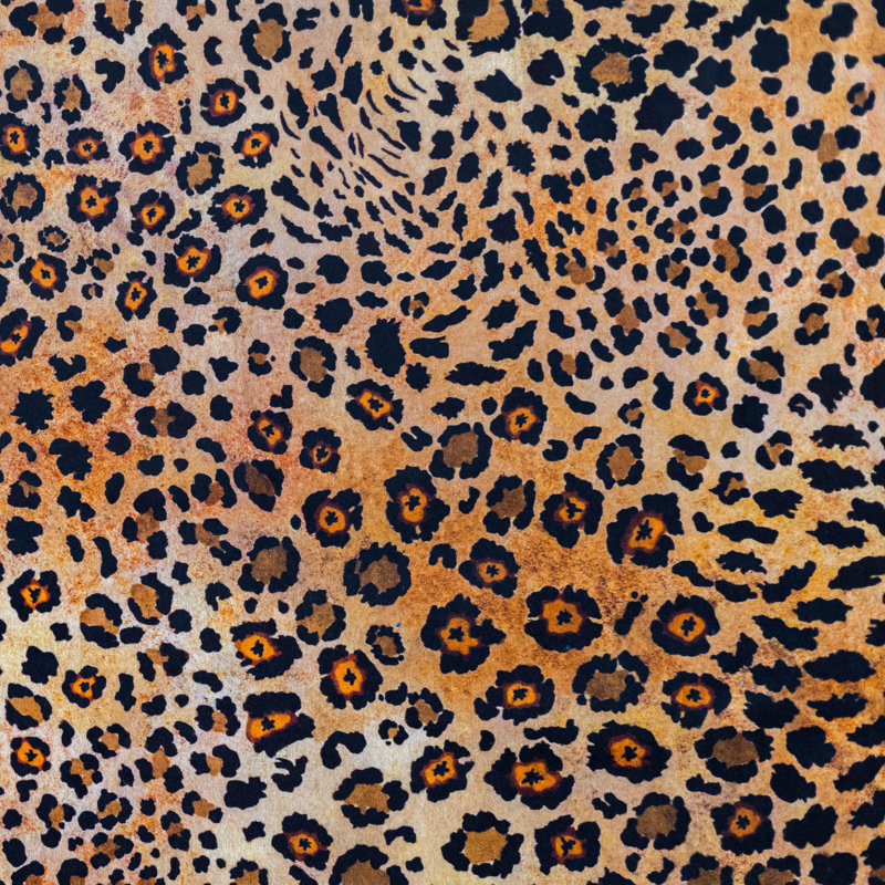 Ardmore Velvet Fabric, Gold