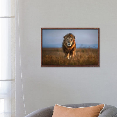 Lion Close Up by Xavier Ortega - Print on Canvas