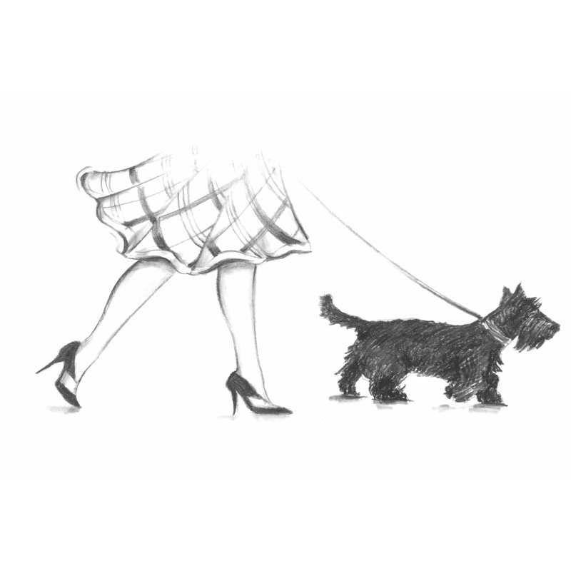 Perfect Companion II by Ethan Harper - Wrapped Canvas Print, 30cm H x 46cm W