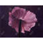 Napperon en pétales de polyester violet