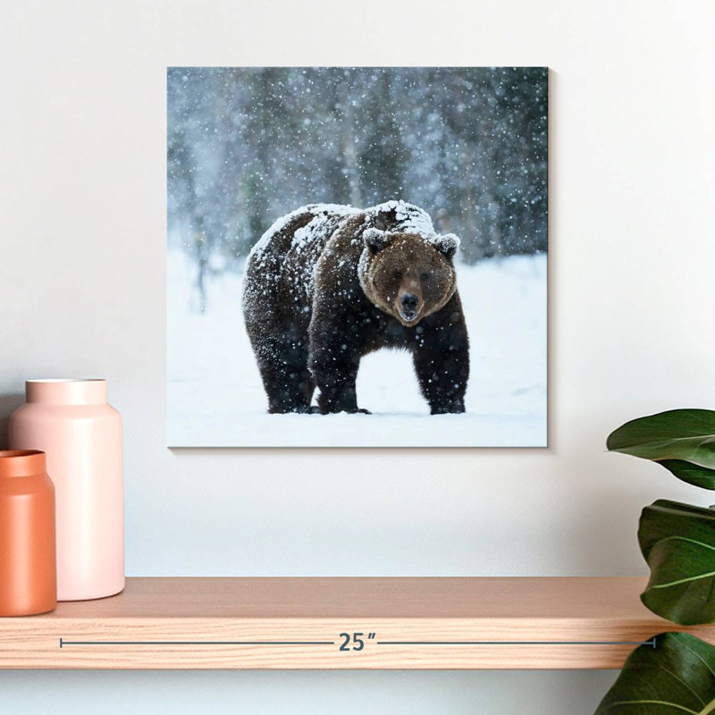Crowle Winter Brown Bear, 16" H x 16" W