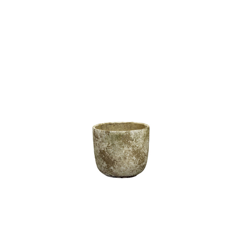 Hasana Pot Planter, 13cm H x 15cm W x 15cm D
