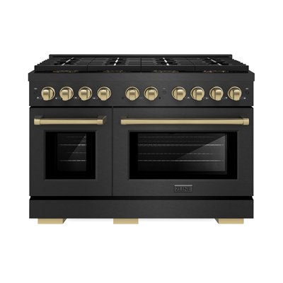 ZLINE 48 in. Paramount Dual Fuel Range with 8 Burner DuoPro Cooktop in Black Satin Stainless Steel
