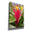  «Guzmania Flower» par Dante Plata, art mural sur toile, 18 po x 26 po-1082147033