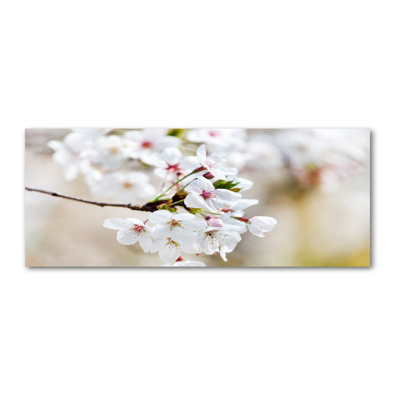 Cherry Blossoms - Wrapped Canvas Print