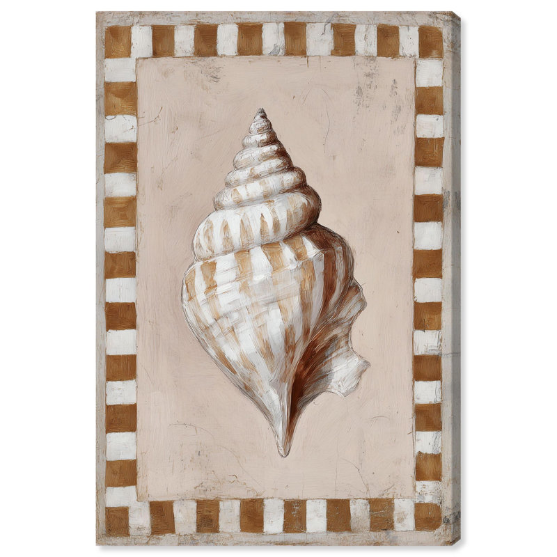 «Spiral Shell II», impression sur toile Boho Coastal Art par Art Remedy, tendue sous châssis, 16 x 24, 24"H x 16"W