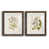 Papier, cadre noyer