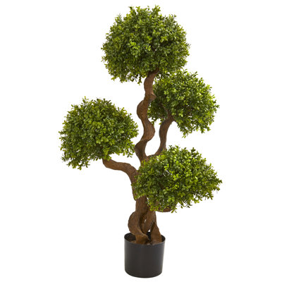 Madie 42'' Faux Boxwood Tree in Pot