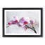 Orchid Flowers Vol.5 - Framed Print-62761599-62761603