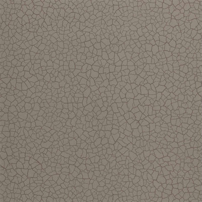 Cracked Earth