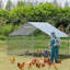 Asine 6m² Chicken Coop