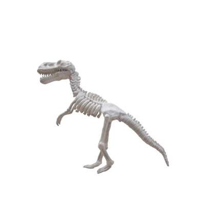 Statue de bébé squelette de dinosaure grandeur nature