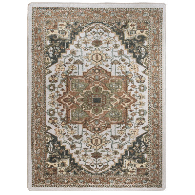 Prolley Oriental Indoor Rug