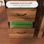 16.5'' Wide 2 -Drawer Mobile Steel File Cabinet