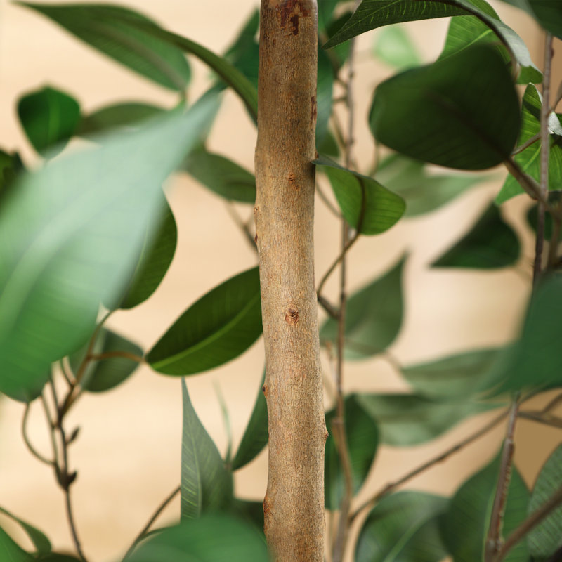 Adcock Artificial Ficus Tree in Pot with Realistic Leaves and Natural Trunk, 47" H x 12" W x 12" D