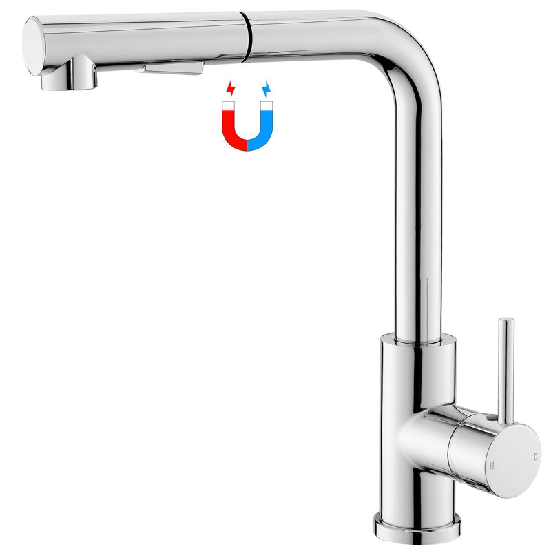 Belfry Kitchen Brooklana Kitchen Faucet, Stainless Steel