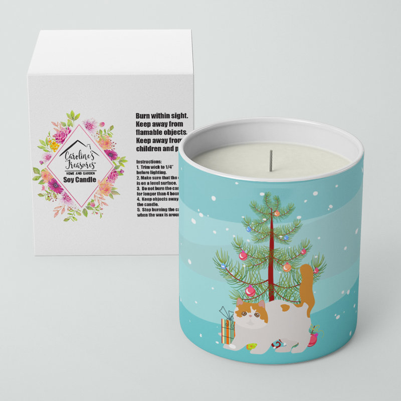 Bougie décorative de soja 10 oz Exotic Shorthair # 4 Merry Christmas