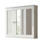Mirrored Medicine Cabinet
