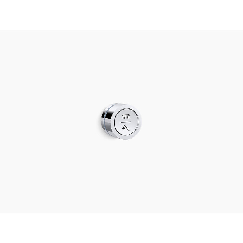 Interface de douche à double sortie DTV Mode ™ avec inverseur Eco-Mode, Avec dérivateur à mode écologique, Chrome poli