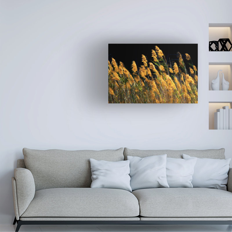 Golden Tall Grasses Landscape Canvas Print, 19" x 12"