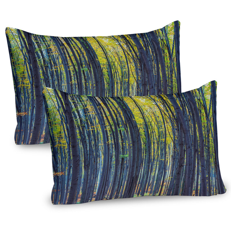Ensemble de 2 taies décoratives Ambesonne Forest, H 20 po x l 26 po