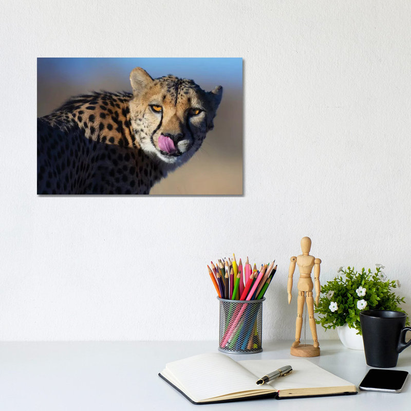 Cheetah Morning Light 1 Piece Wrapped Canvas Wall Art, 20.32 cm H x 30.48 cm W