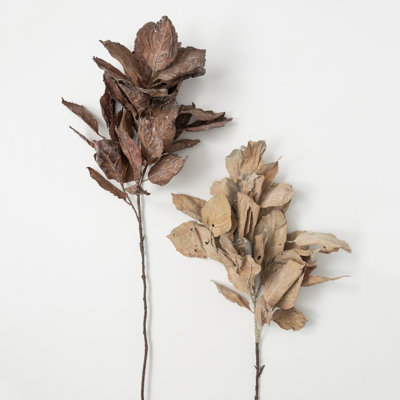 Hydrangea Leaf Stems