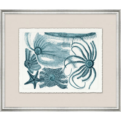 Aqua Horizontal Starfish 4 Painting