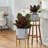 Elayna Ceramic Planter with Wood Stand-345935327-345133211