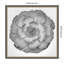«Succulent Graptoveria 005» par Pictufy Studio III, reproduction d'art sur toile encadrée