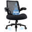 Hristos Heavy Duty 500LBS Ergonomic Office Chair With Adjustable Back Tilt and Lumbar Support-912526490