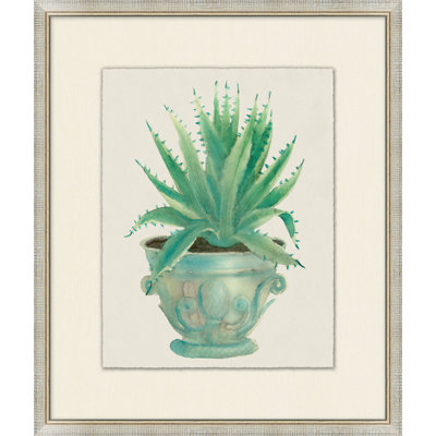 Aloe Pot 1 Print