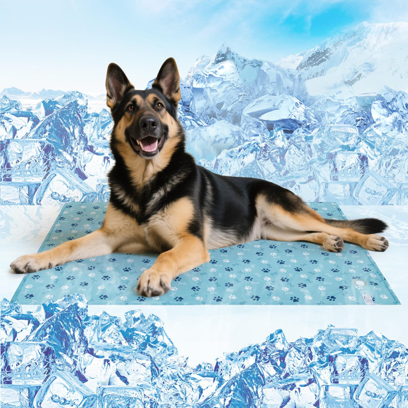 Pet Bed