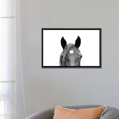 Peeking Horse In Black & White by Sisi & Seb - Photograph Print