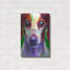 «Dachshund - Cooper» par Dawg Painter-811248076