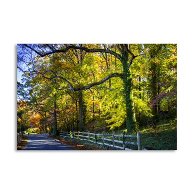 " Trees of Gold and Green II " Print