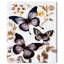Butterfly Dance III par Wynwood Studio-1696823868